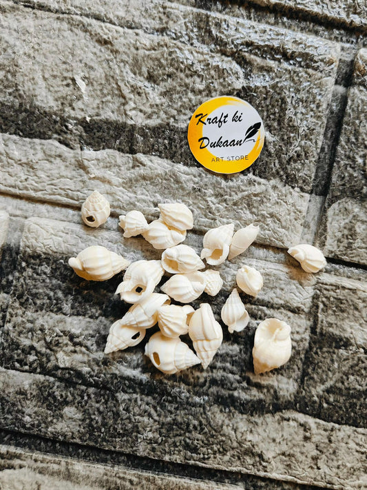 craft-supplies-sea-shells-for-resin-art-d