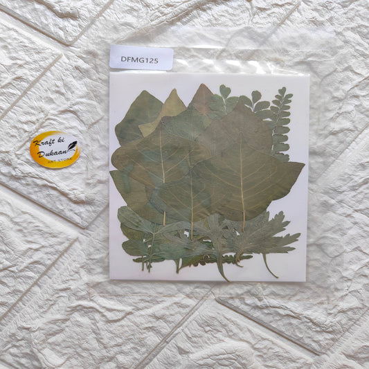 Kraft ki Dukaan resin art flower sheet featuring assorted dried leaves for creative projects