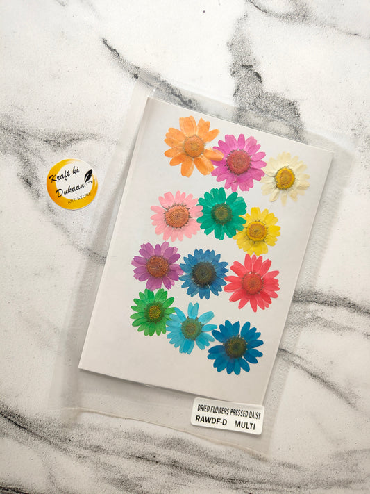Multi color daisy flower sheet featuring various pressed flowers in vibrant hues on a white background