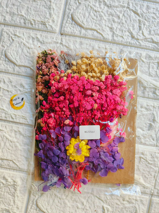 Mix dried flower sheet, A3 size—varied pink, purple, yellow and orange blossoms