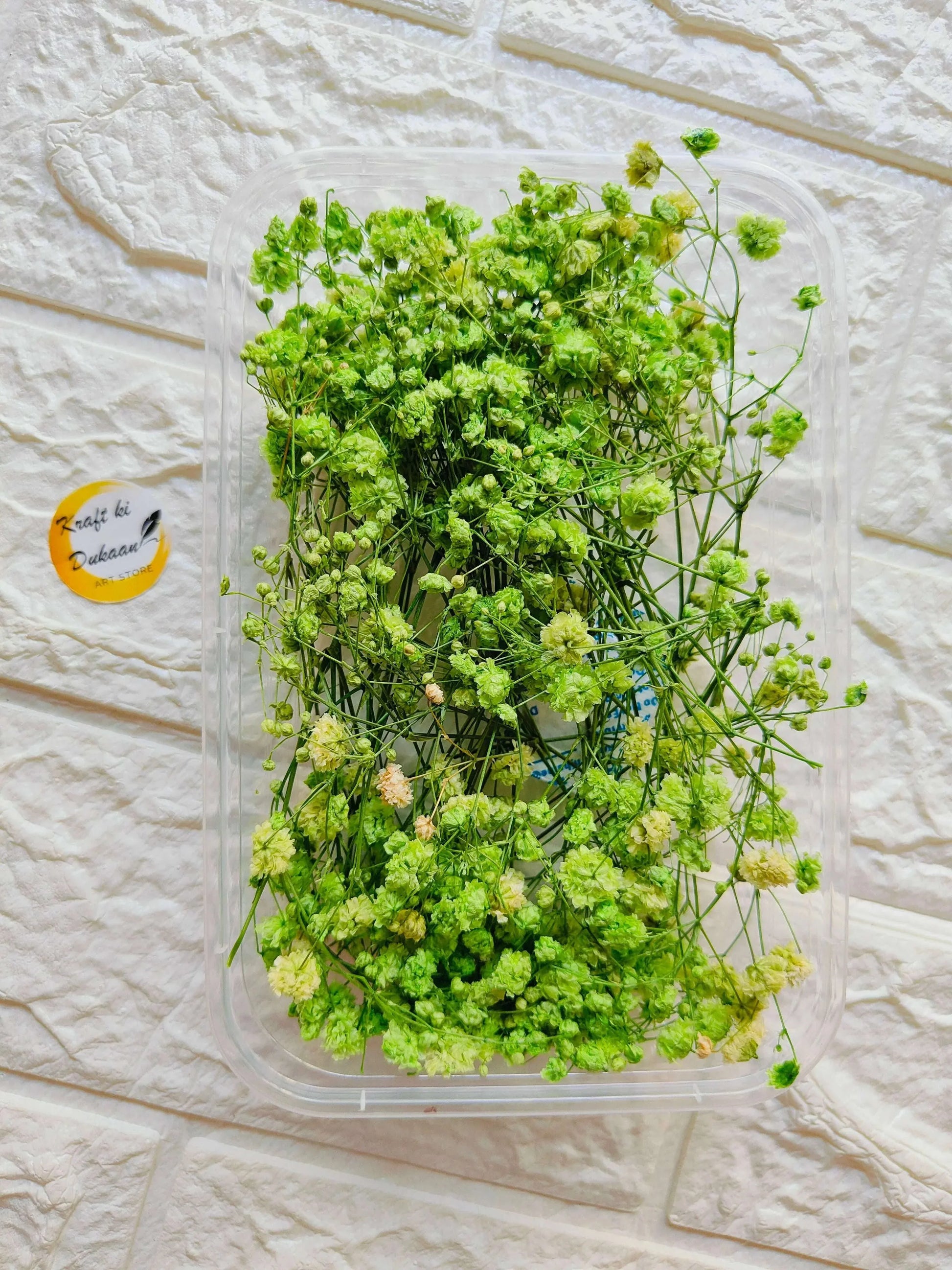 Dry Flower Box D1 with fresh-looking green preserved flowers in clear container