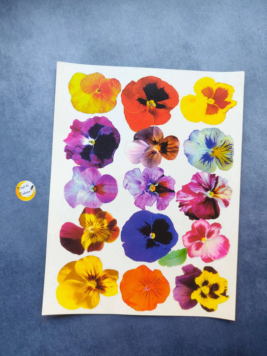 A4 Colour Sticker Sheet A18 with colorful flower stickers, 12+ blooms