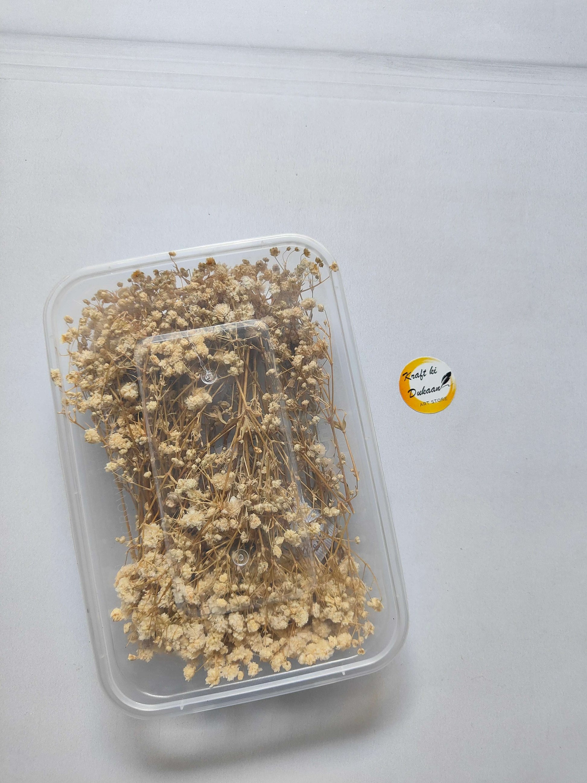 Gypsy Flower Box, beige dried flower stems in a clear plastic case