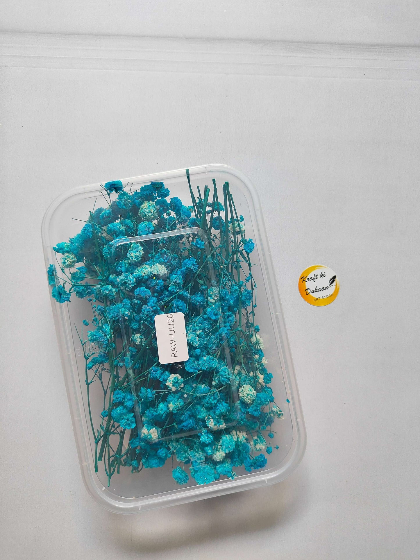Gypsy Flower Box, blue-green dried flower stems in a clear plastic case