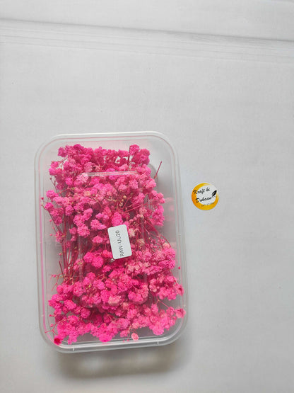 Gypsy Flower Box, bright pink dried flower stems in a clear plastic case
