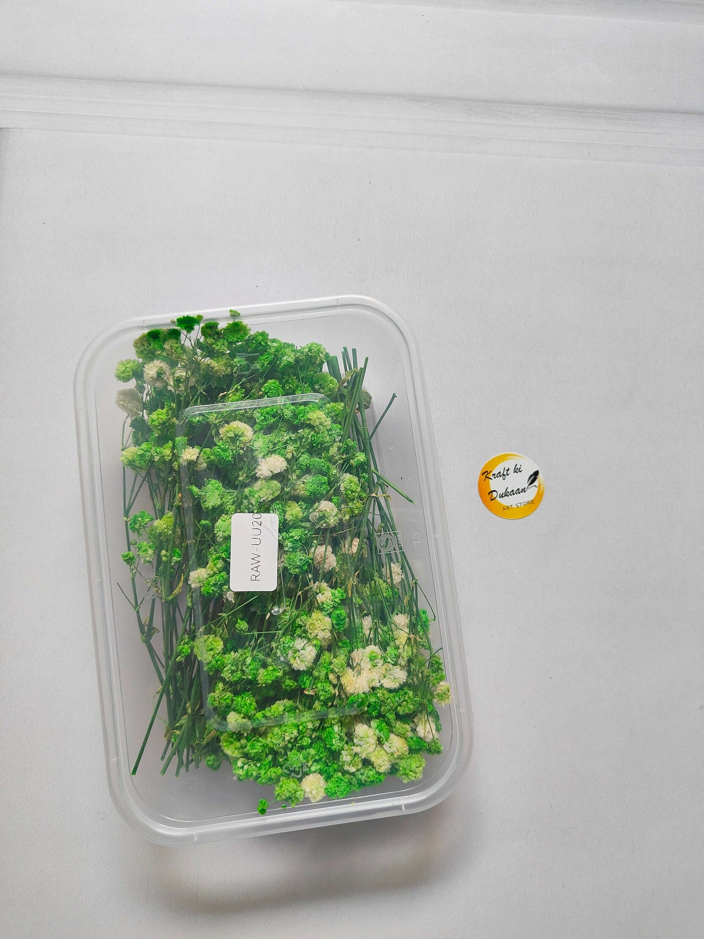 Gypsy Flower Box, green dried flower stems in a clear plastic case