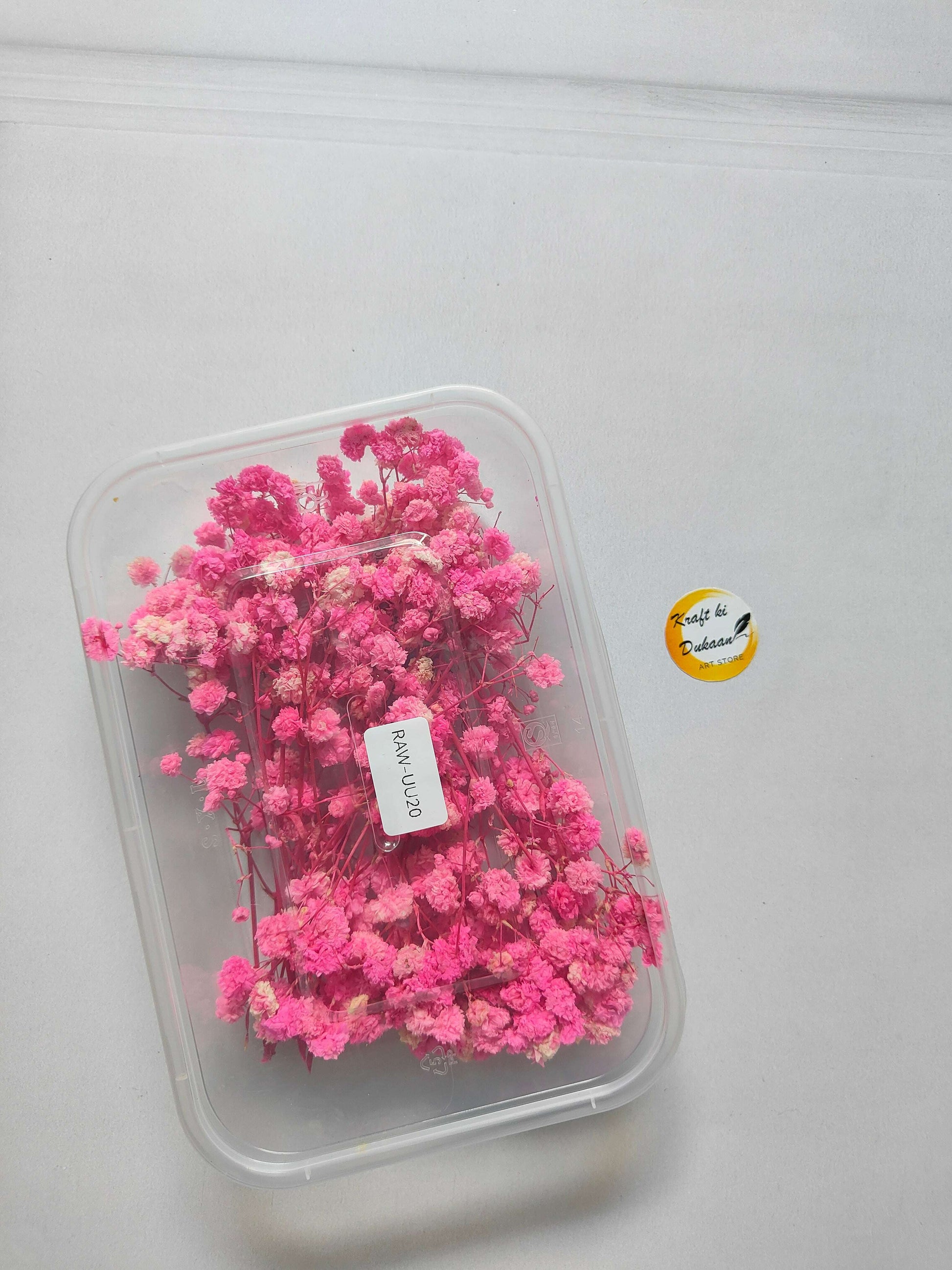 Gypsy Flower Box with pink gypsy flowers in a clear plastic box