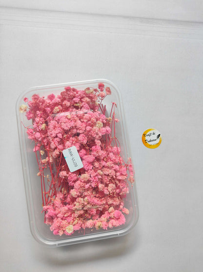 Gypsy Flower Box, light pink dried flower stems in a clear plastic case