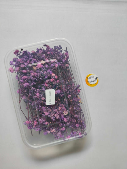 Gypsy Flower Box, purple dried flower stems in a clear plastic case