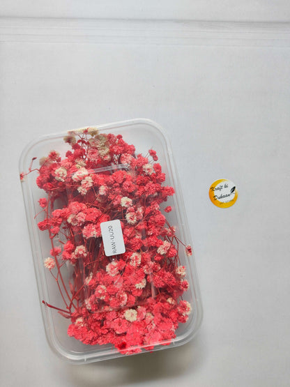 Gypsy Flower Box, pink dried flower stems in a clear plastic case