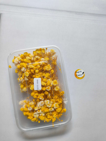 Gypsy Flower Box, yellow dried flower stems in a clear plastic case