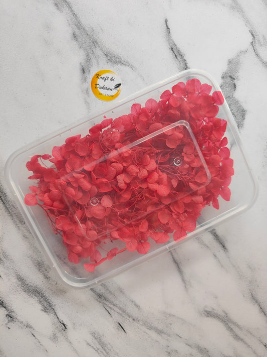 Hydrangea dry flower box filled with vibrant red blooms for elegant home decor