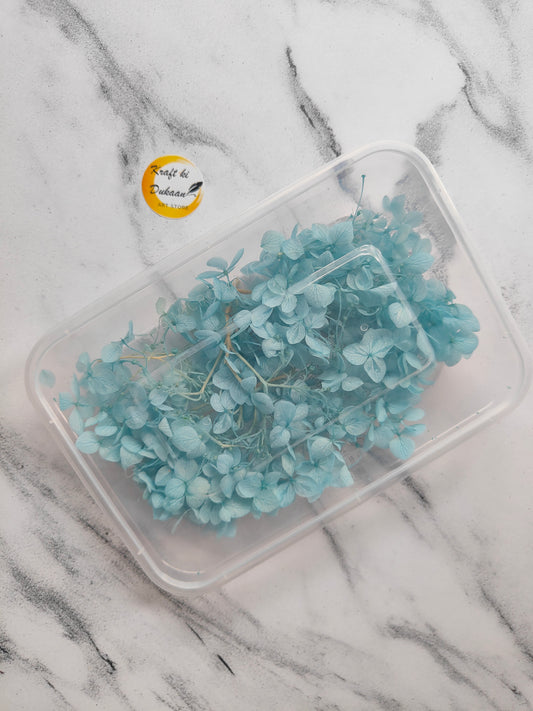 Blue hydrangea dry flowers for resin art in a clear container for crafting projects
