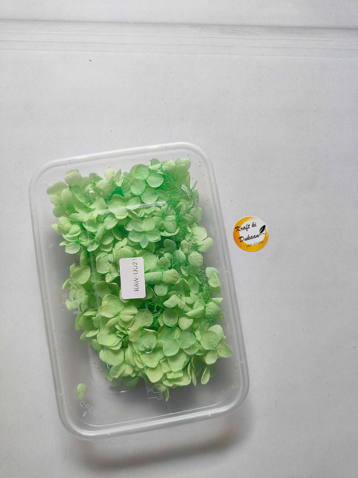 Hydrangea flower box with light green blooms in clear plastic container