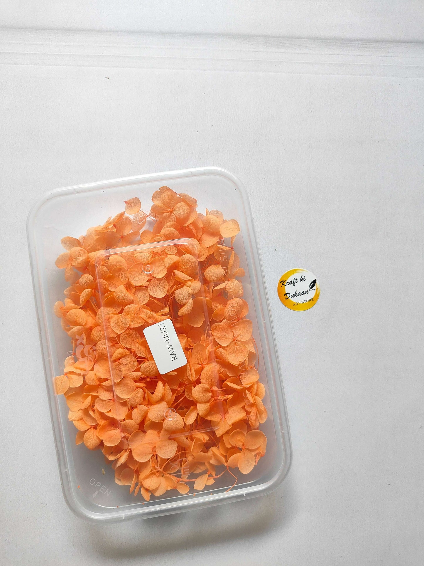 Hydrangea flower box with orange hydrangea blooms in clear plastic container