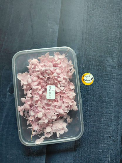Hydrangea flower box with light pink hydrangea blooms in a clear plastic container