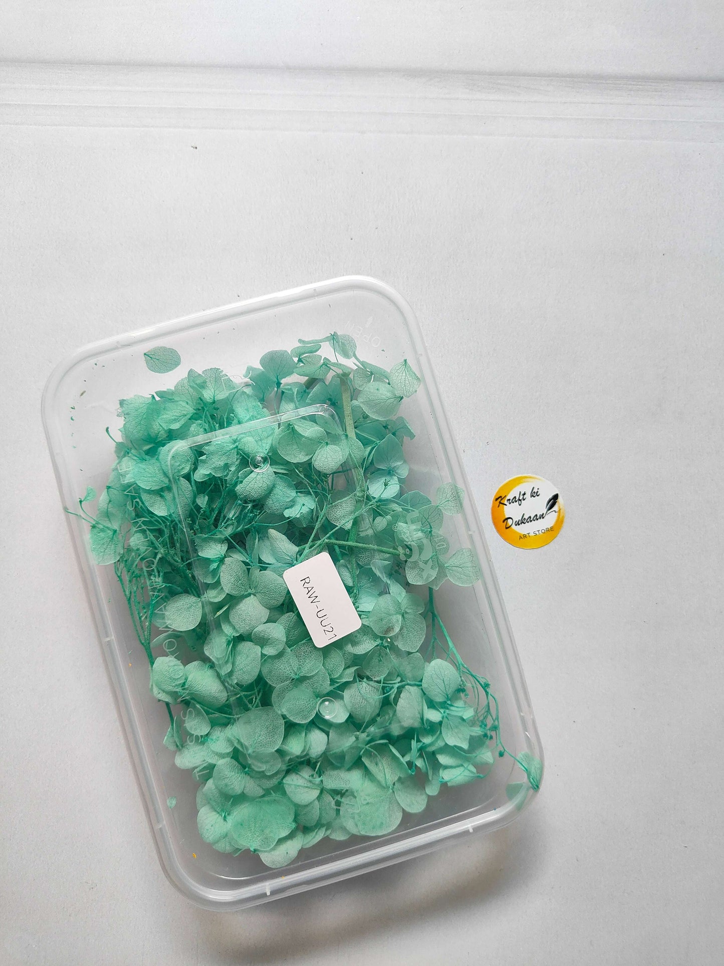 Hydrangea flower box with teal green blooms in clear plastic container