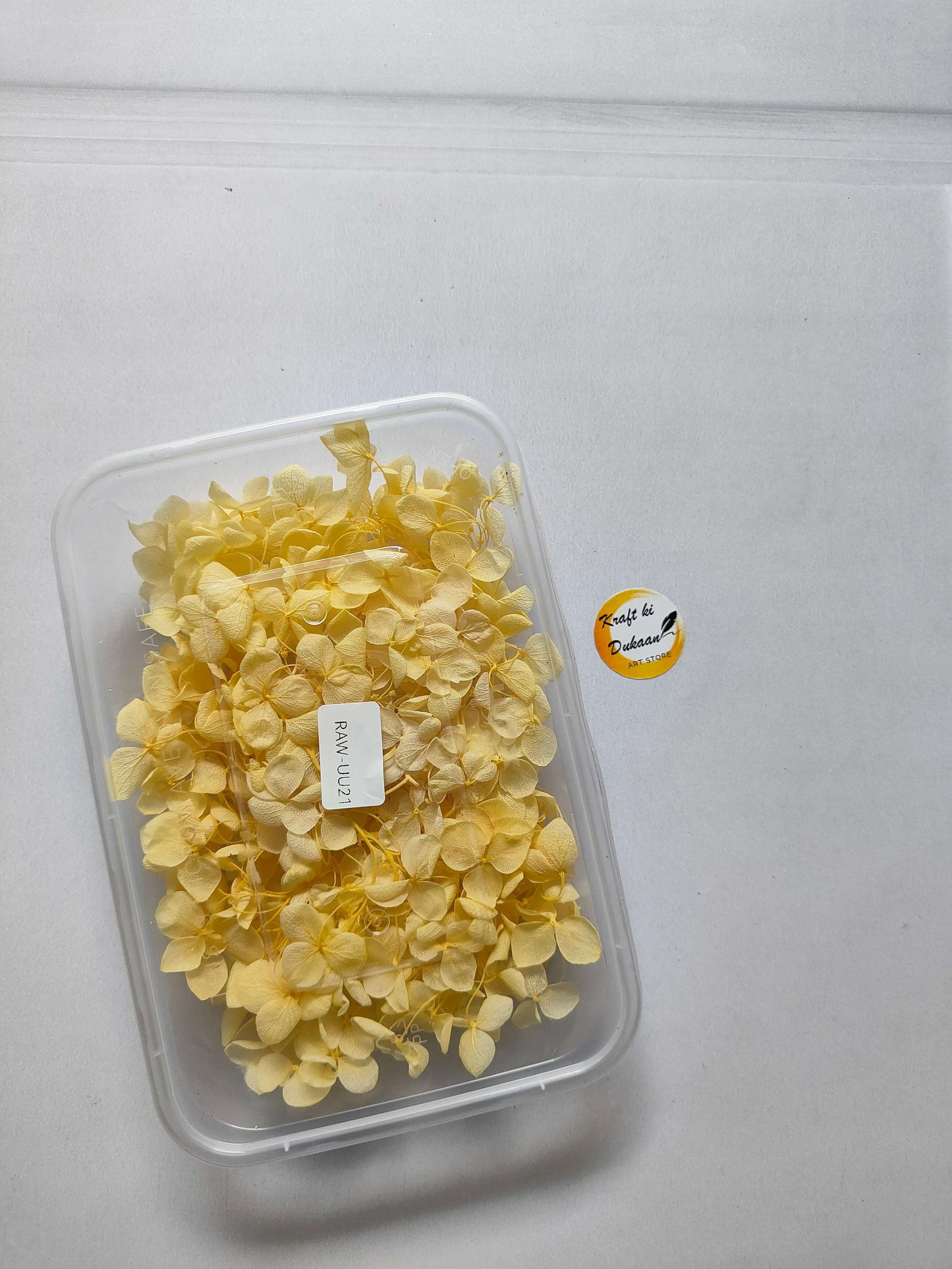 Hydrangea flower box with yellow hydrangea blooms in a clear plastic container
