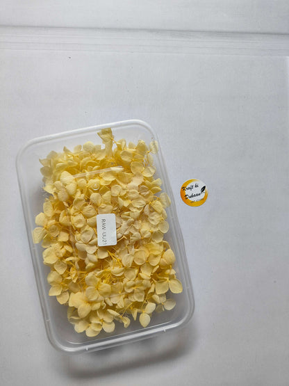 Hydrangea flower box with yellow hydrangea blooms in a clear plastic container