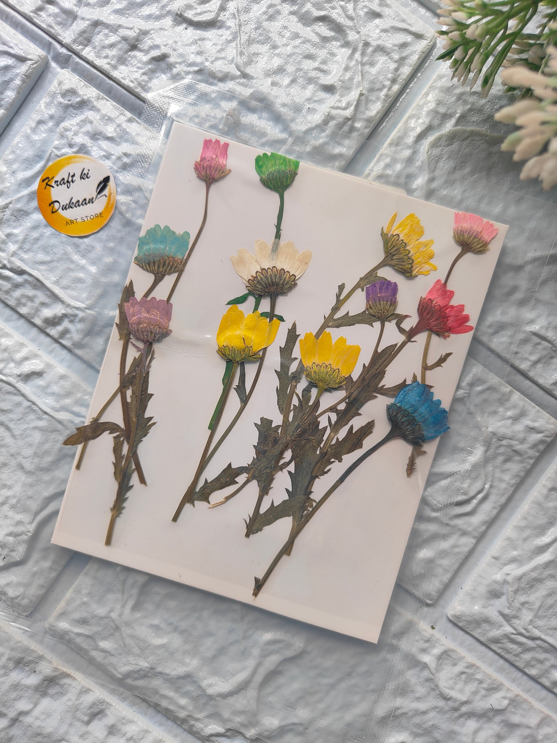 D1 pressed flower sheet for crafts featuring colorful dried flowers on a white background