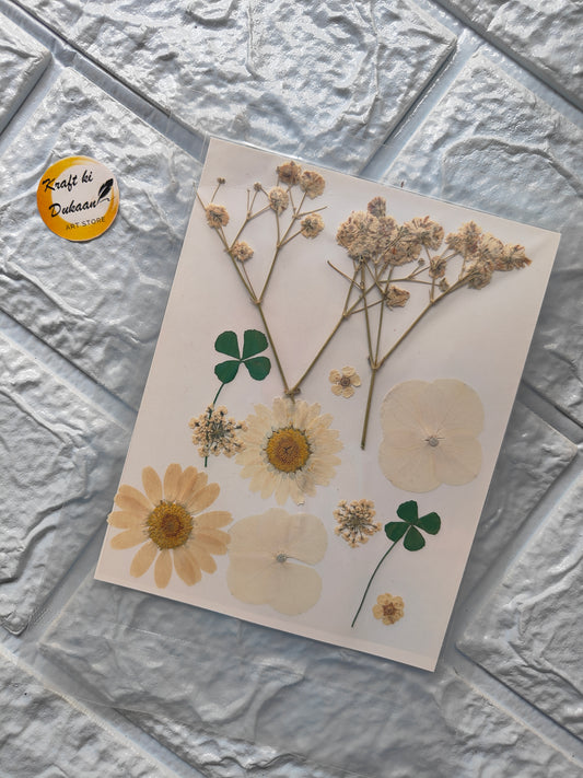 A11 pressed flower sheet featuring various dried flowers and leaves for crafting and decoration