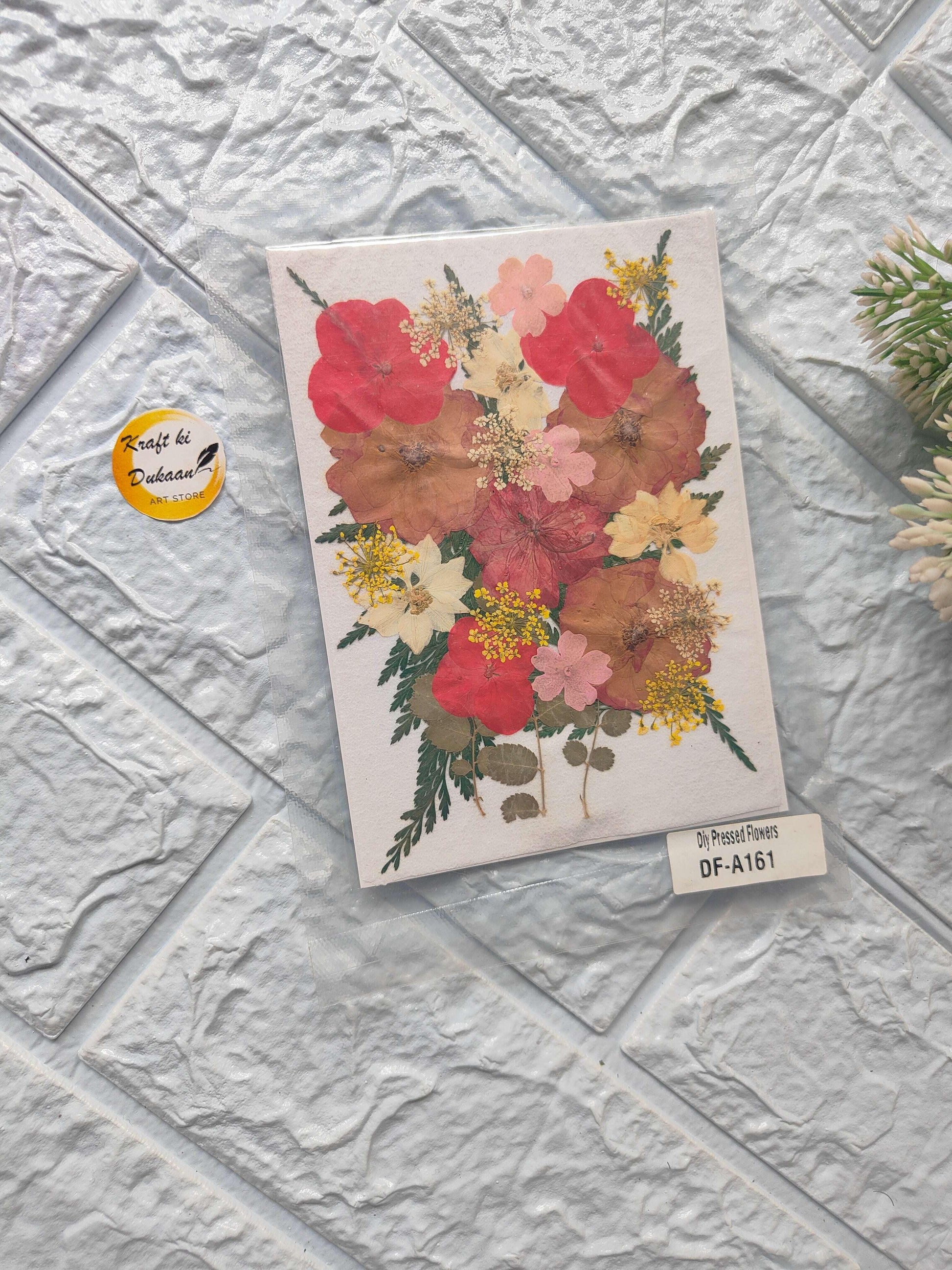 A4 compressed flower sheet mix with red, pink and yellow blossoms on off-white paper