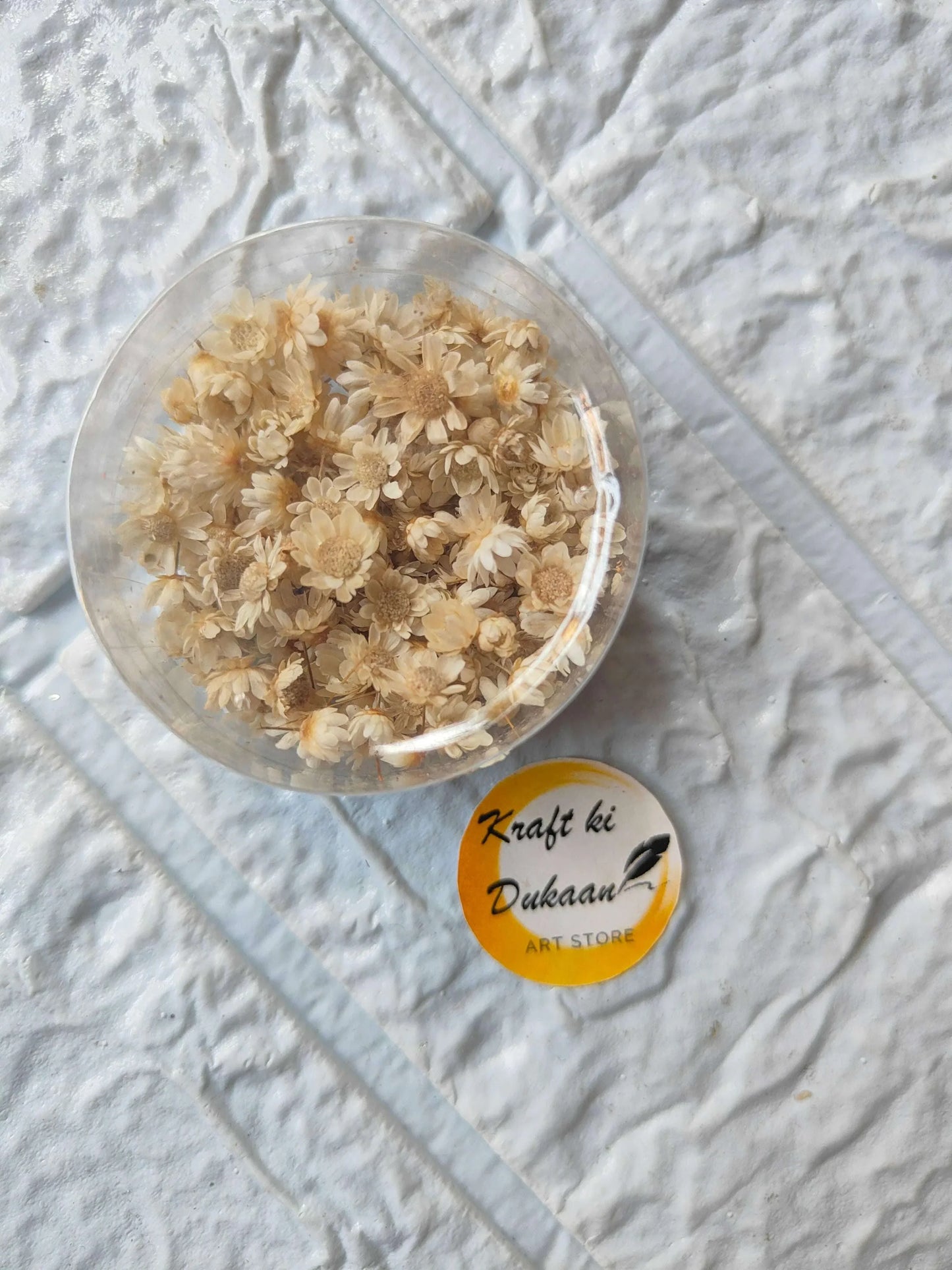 Mini Natural Dried Flower Box with white dried flowers in round clear lid