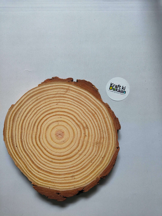 Wooden slice with concentric growth rings and bark edge, round; 17–18 cm.