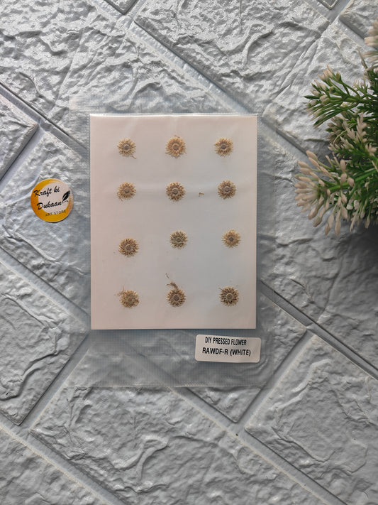 Mini pressed flower sheet with delicate dried flowers for crafting and decoration projects