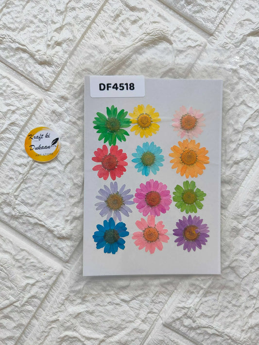 Daisy pressed flower sheet DF4518, multicolor daisy stickers on white backing