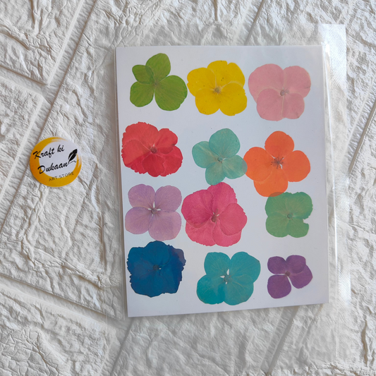 Pack of multi-colored flower sheets featuring vibrant pressed flower designs in various colors
