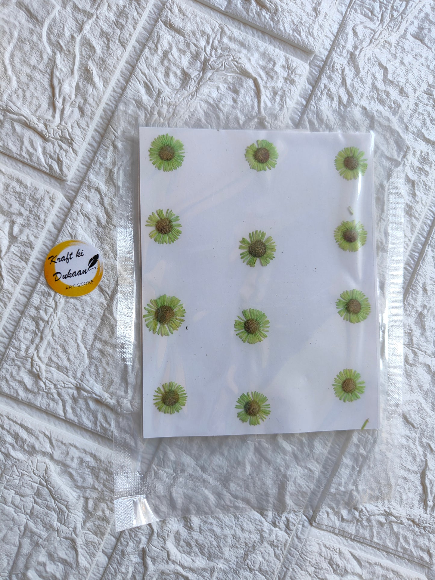 Pack of pressed chrysanthemum flowers for craft projects and DIY decorations