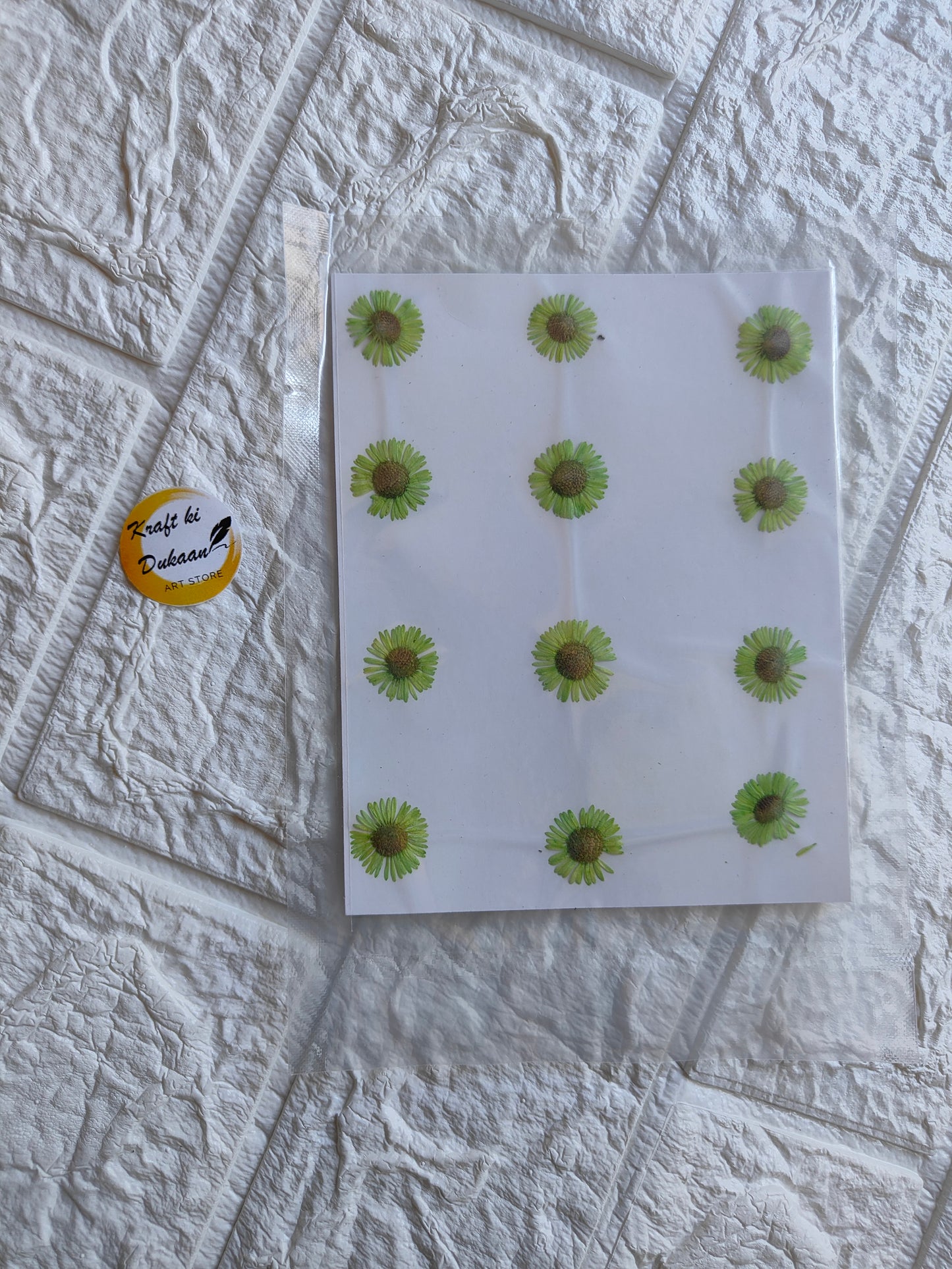 Pressed chrysanthemum flowers arranged on a decorative sheet for decorative arts and crafts