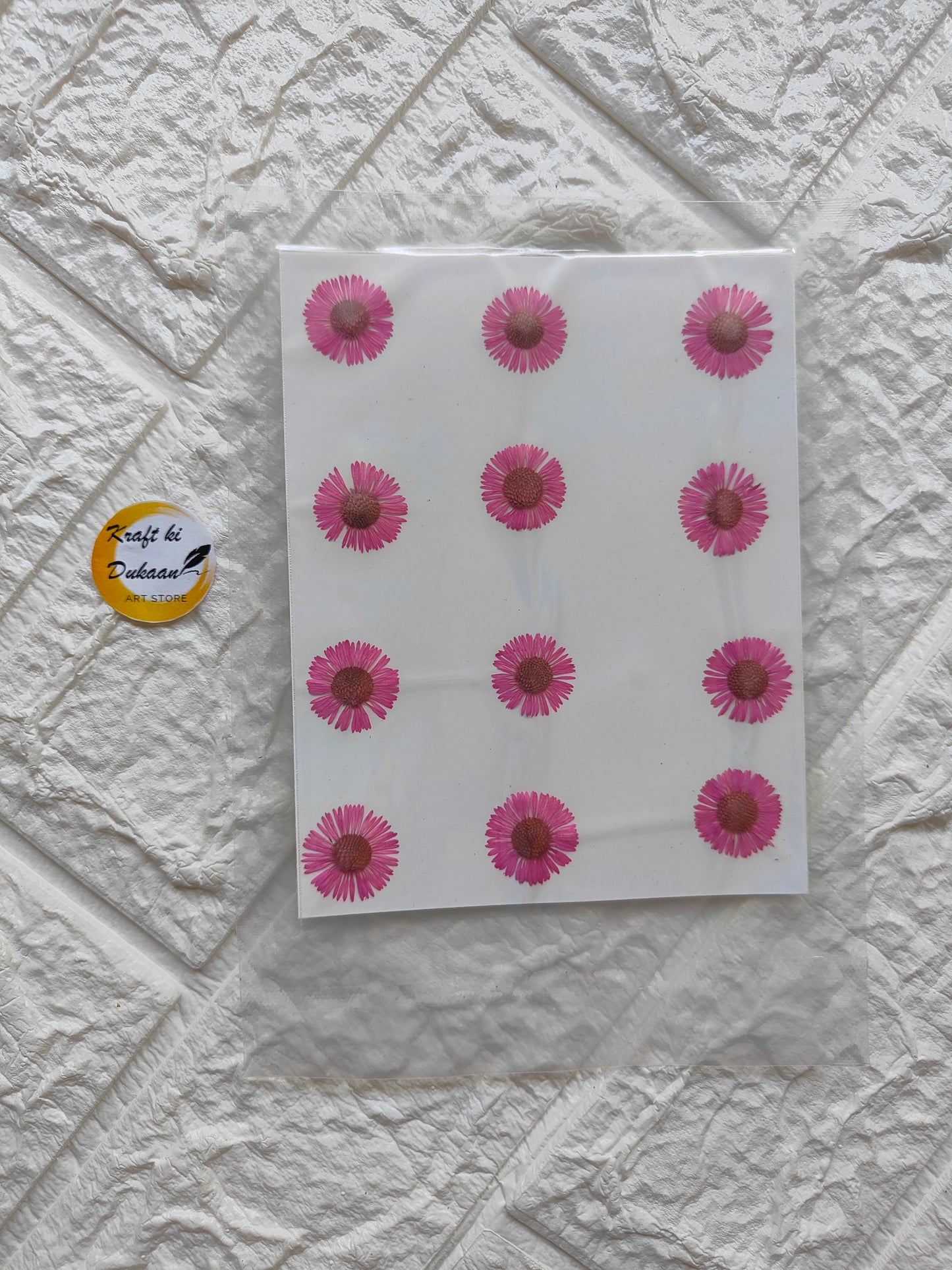 Pressed chrysanthemum flowers arranged on a decorative sheet for crafting and art projects