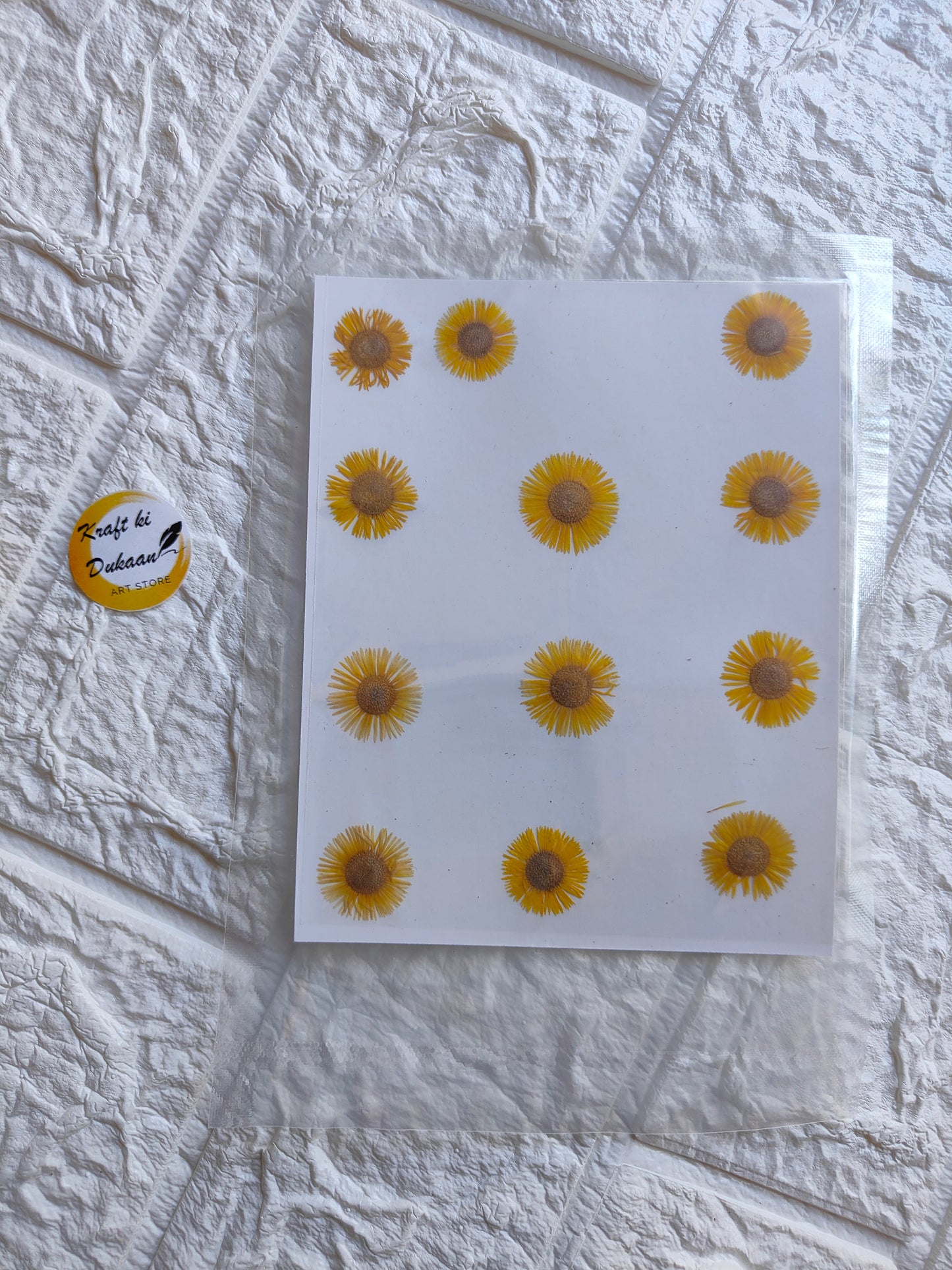 Pressed chrysanthemum flowers arranged on a clear backing for crafting or decoration