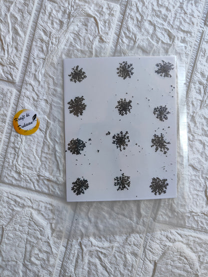 Pressed flower art supplies with various floral designs on a clean white background