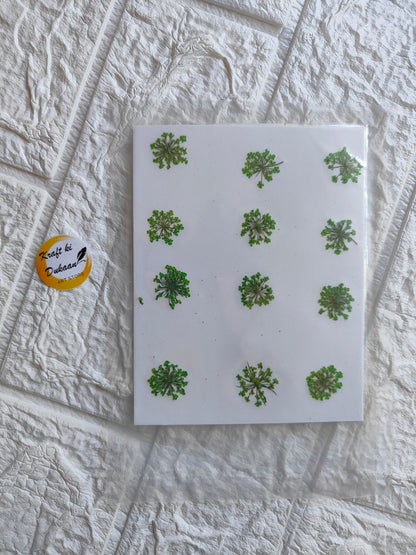Pressed flower art supplies featuring dried green leaves arranged on a white backing