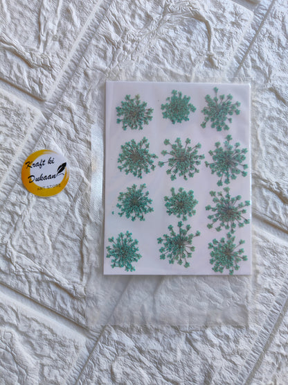 Pressed flower art supplies featuring various green floral designs on a sheet from Kraft ki Dukaan