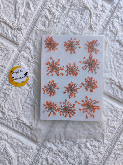 Pressed flower art supplies showcasing orange floral designs on a clear background
