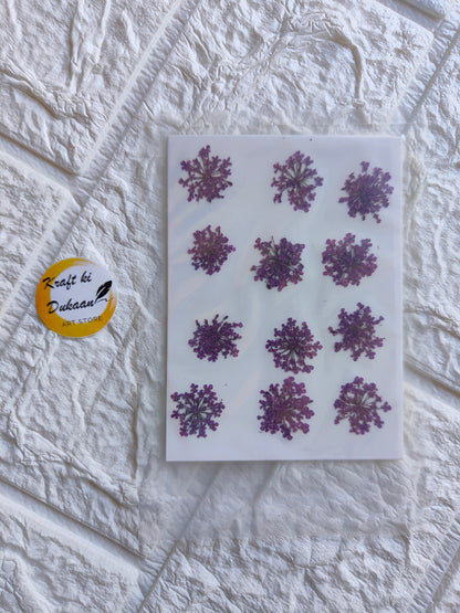 Pressed flower art supplies featuring 12 dried purple flowers on a clear backing sheet