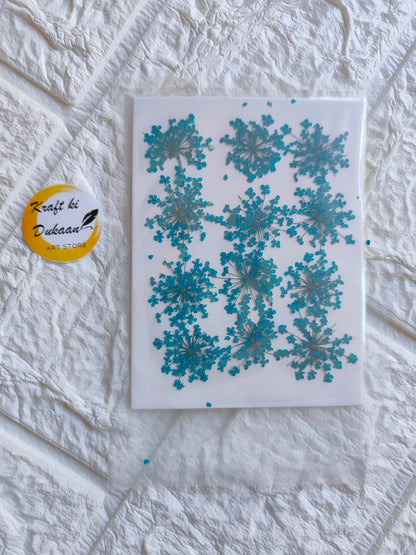 Pressed flower art supplies with blue floral designs on a clear backing for crafting and decoration