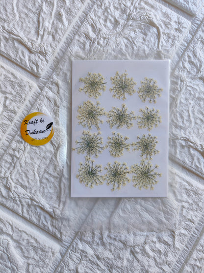 Kraft ki Dukaan pressed flower art supplies arranged on a textured background showing delicate floral designs