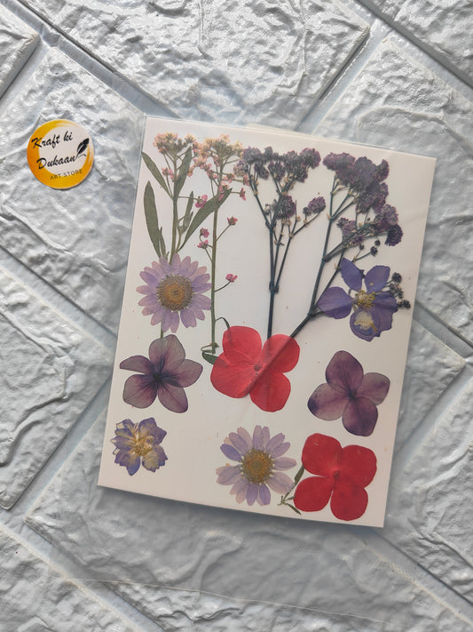 A16 pressed flower sheet featuring various colorful dried flowers for craft projects