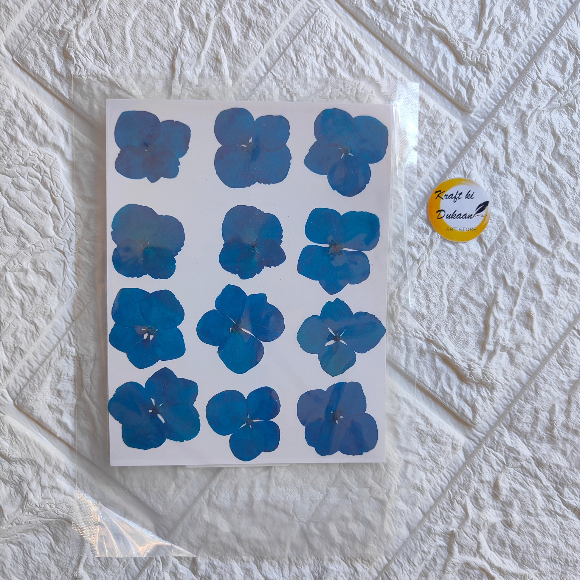 Pressed flower sheet for crafts featuring blue florals arranged on a white background