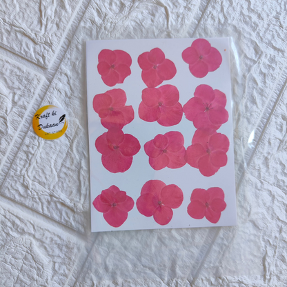Pressed flower sheet for crafts featuring vibrant pink flowers on a white background