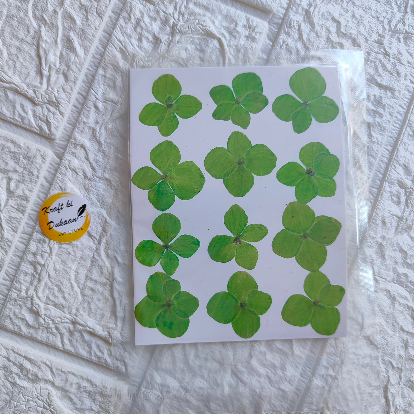 Pressed flower sheet for crafts featuring vibrant green clover leaves arranged on a white background
