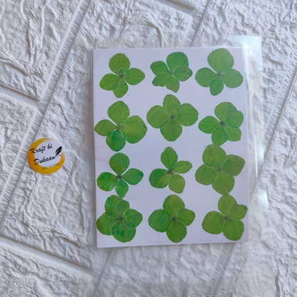 Pressed flower sheet for crafts featuring vibrant green clover leaves arranged on a white background