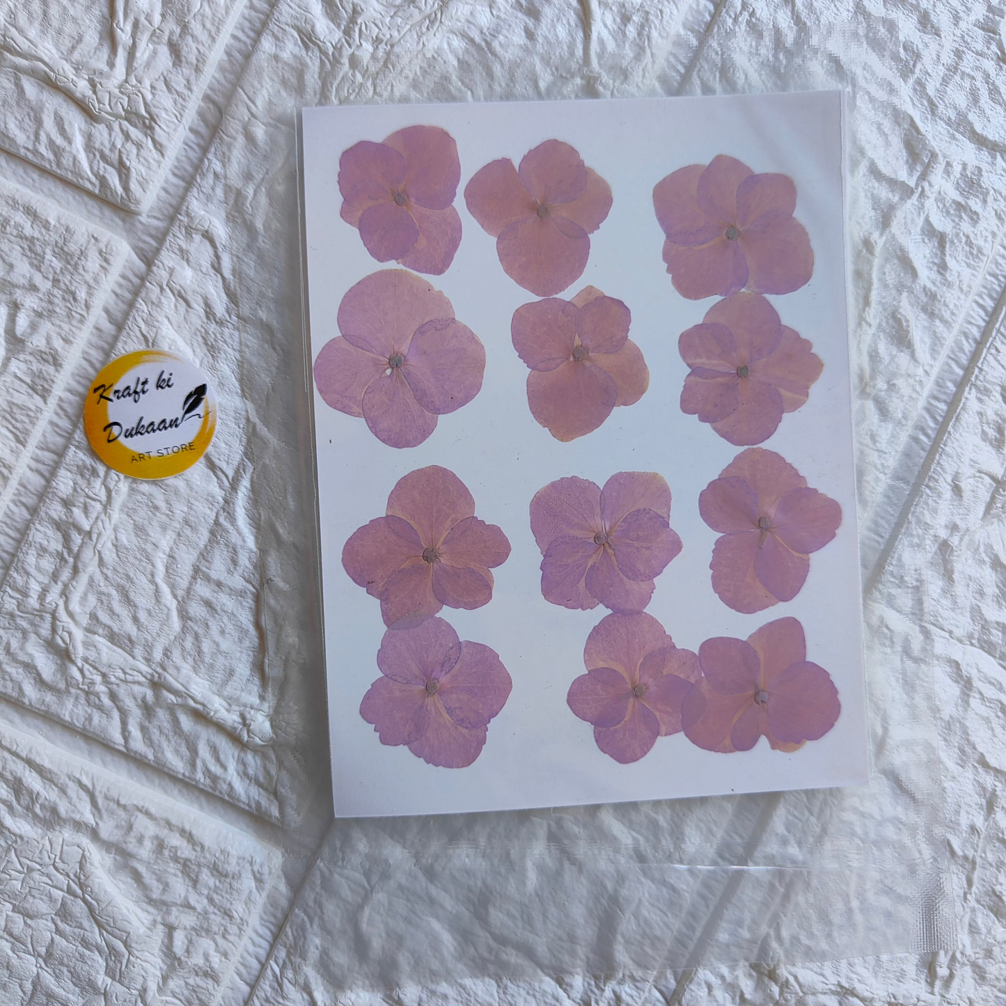 Pressed flower sheet for crafts featuring nine delicate purple flowers on a white background