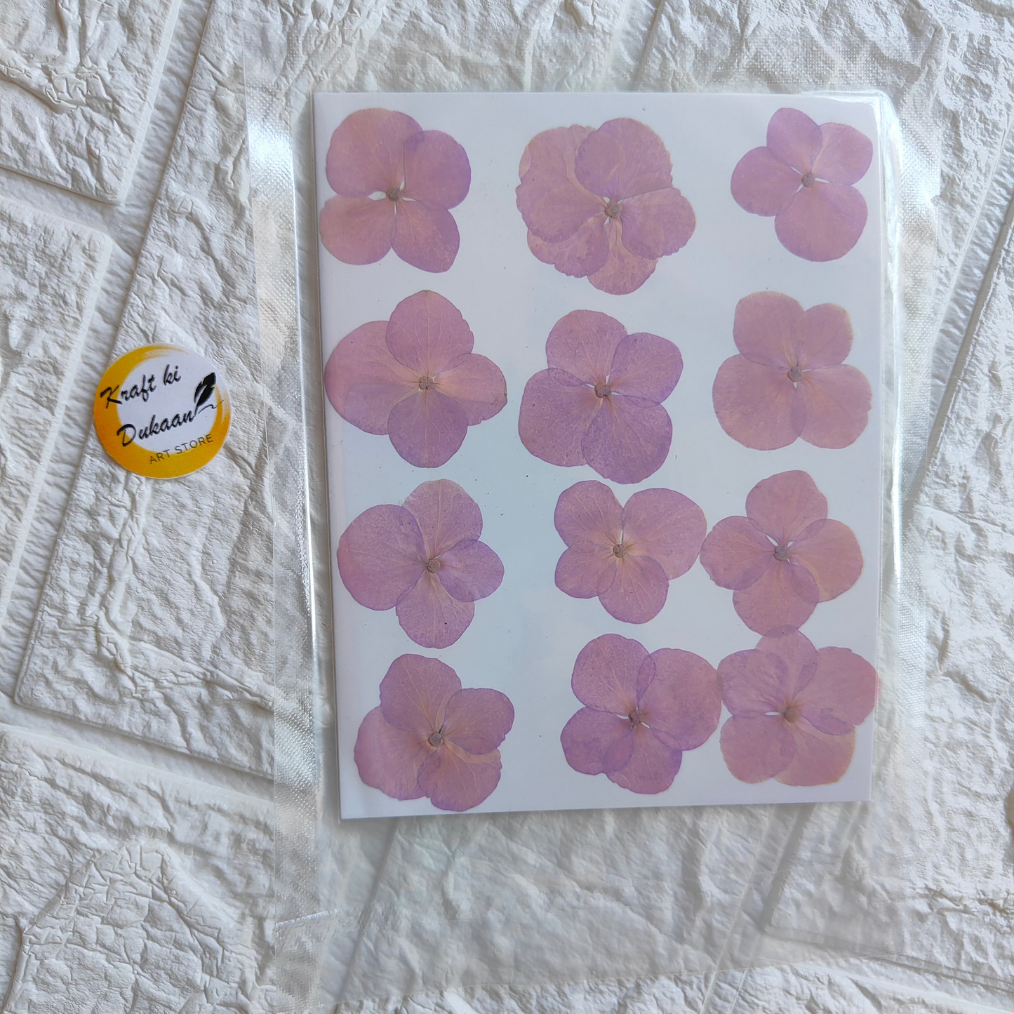 Pressed flower sheet for crafts featuring vibrant pink flowers on a clear background