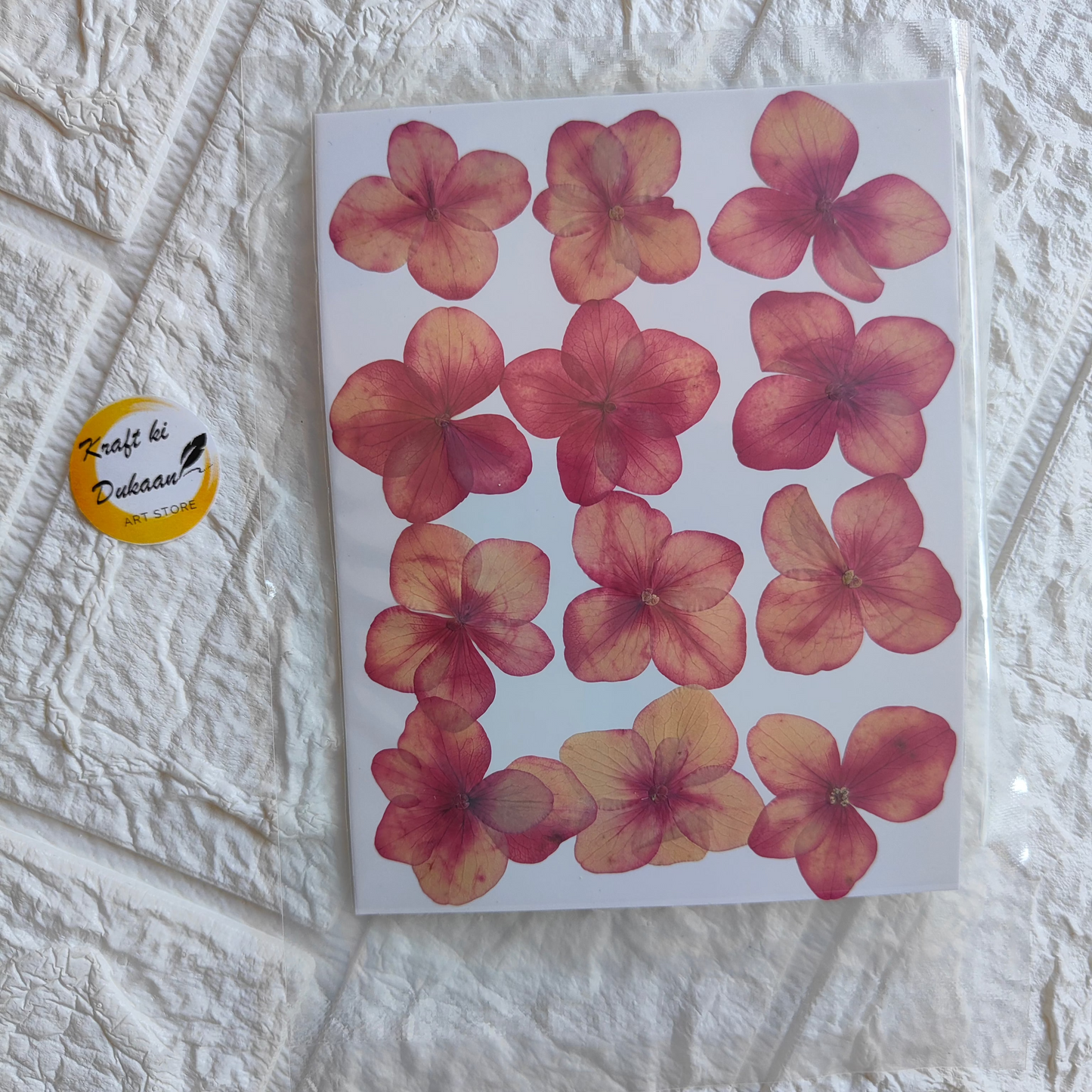 Pressed flower sheet for crafts featuring vibrant red and yellow flowers arranged on a white background